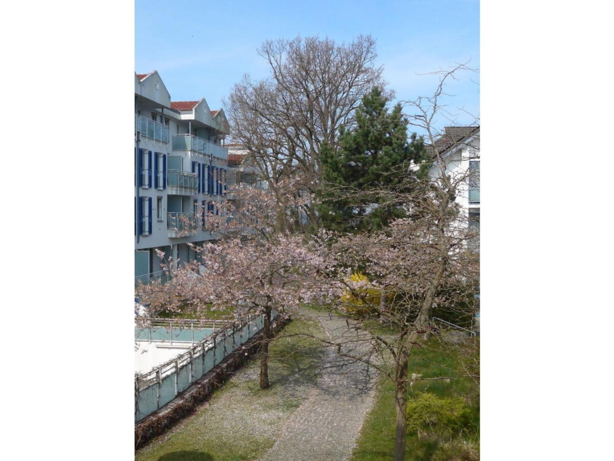 Am Kurhaus 508 - Ostsee-Lug, Pp Am Bernsteinhaus ซิงสท์ ภายนอก รูปภาพ